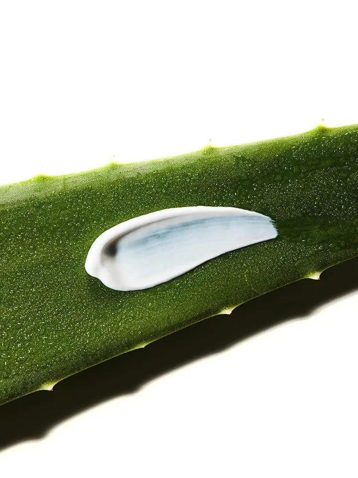 Aloe Soothing Sun Cream SPF50+/ PA+++ - CORSX Cosmetics